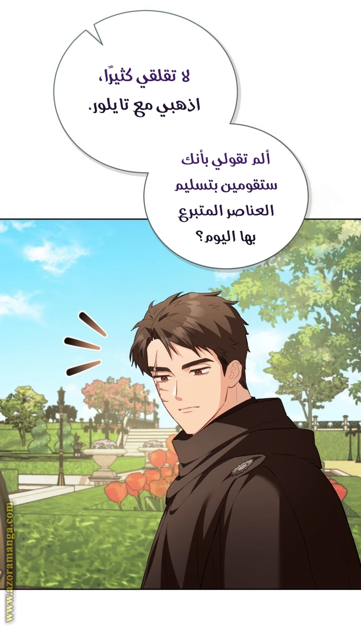 الصفحة 17
