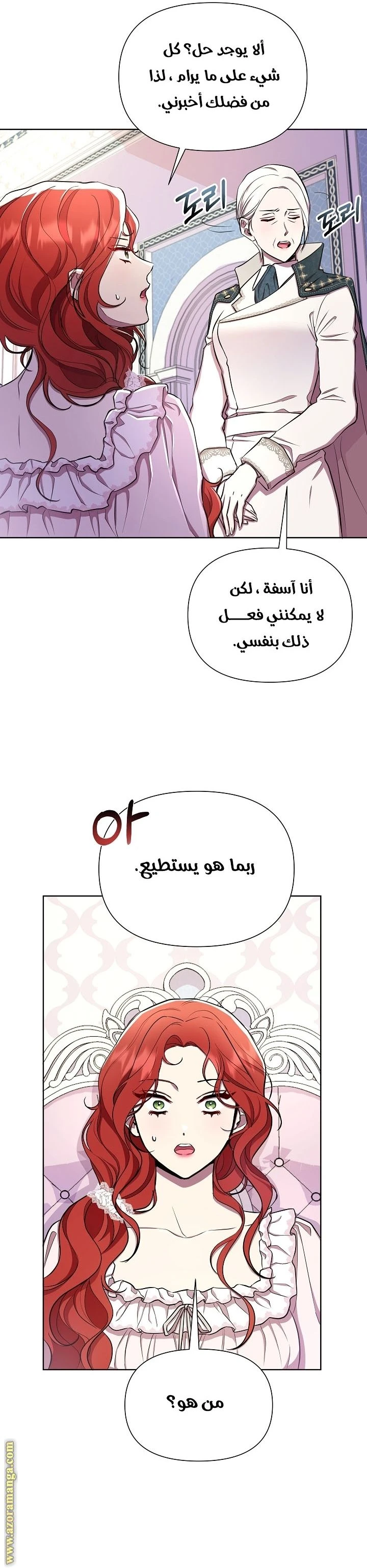 الصفحة 17