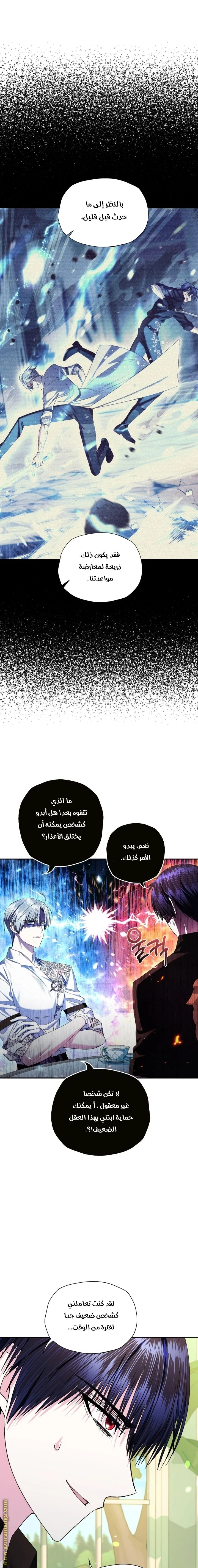 الصفحة 17