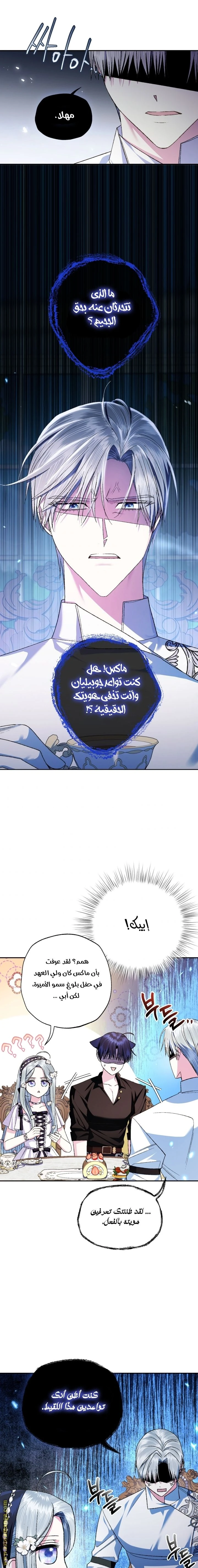 الصفحة 19
