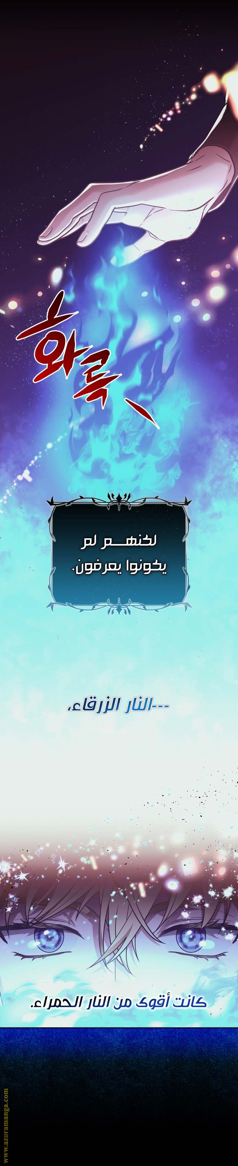 الصفحة 17