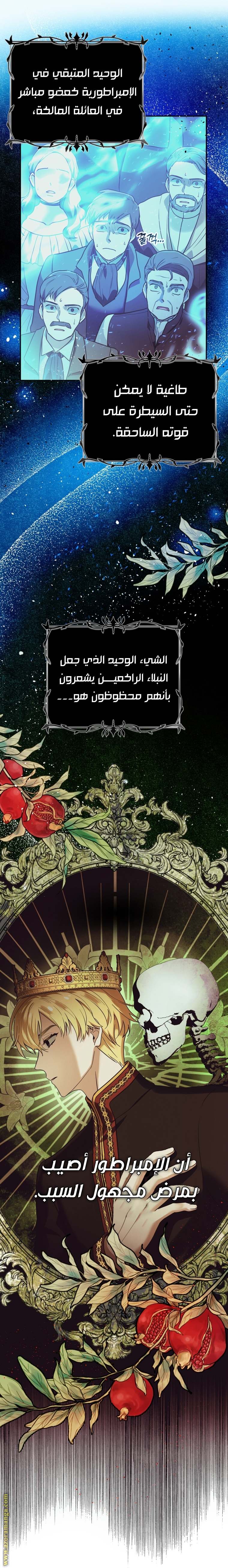 الصفحة 19