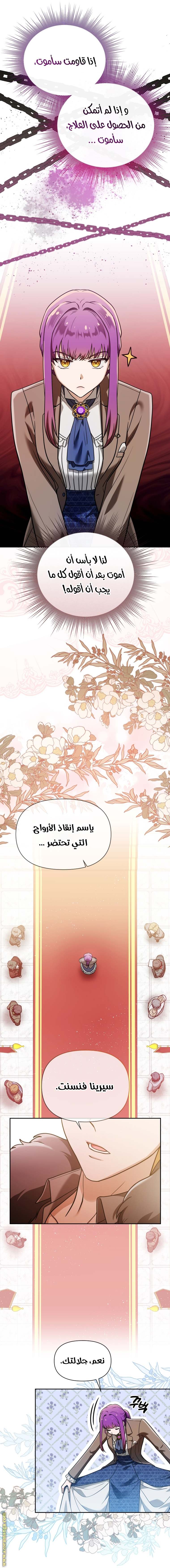 الصفحة 21