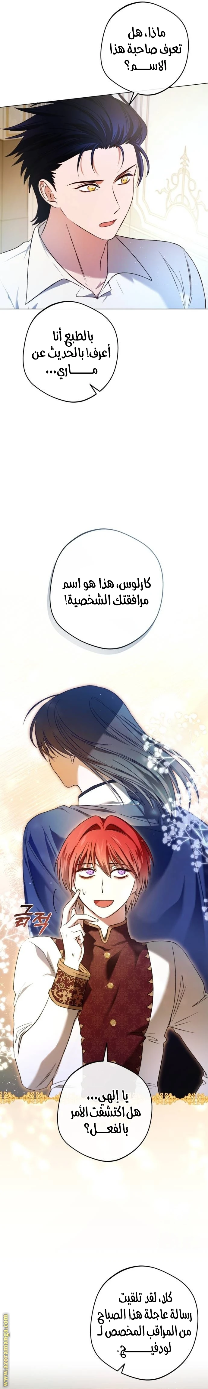 الصفحة 14