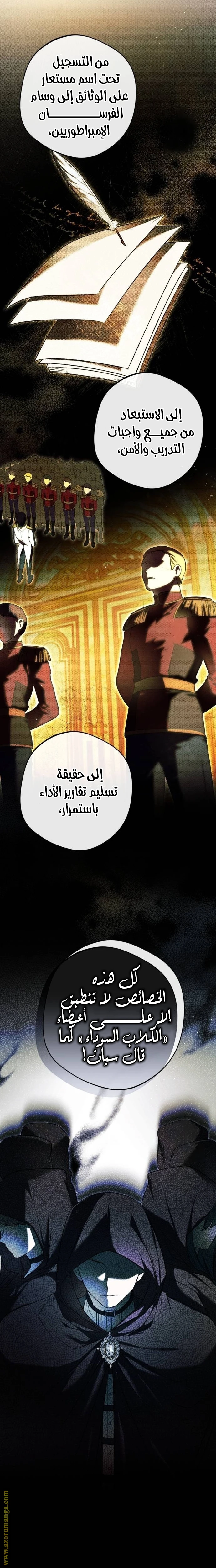 الصفحة 17