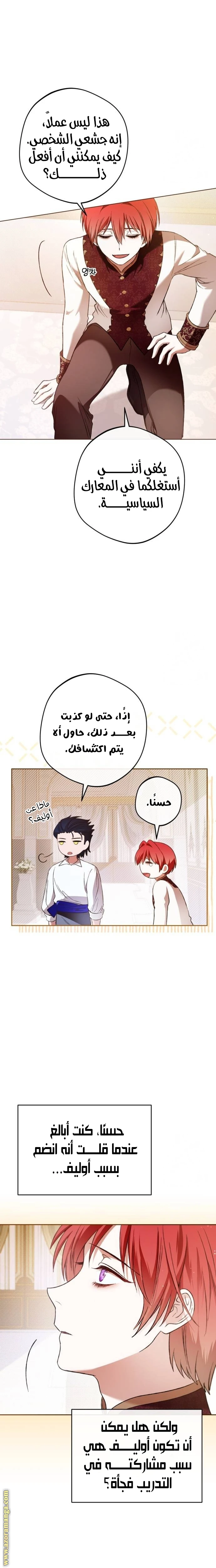الصفحة 25