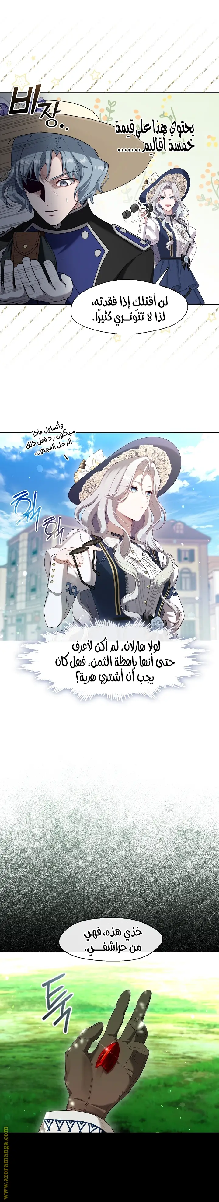 الصفحة 13