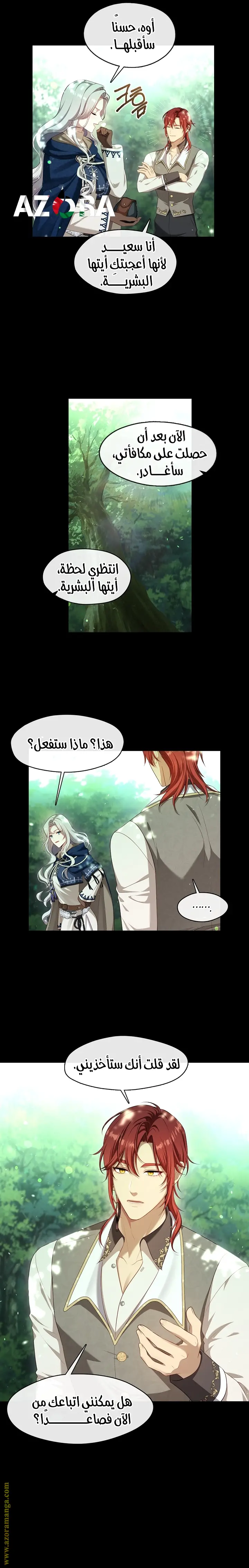 الصفحة 17