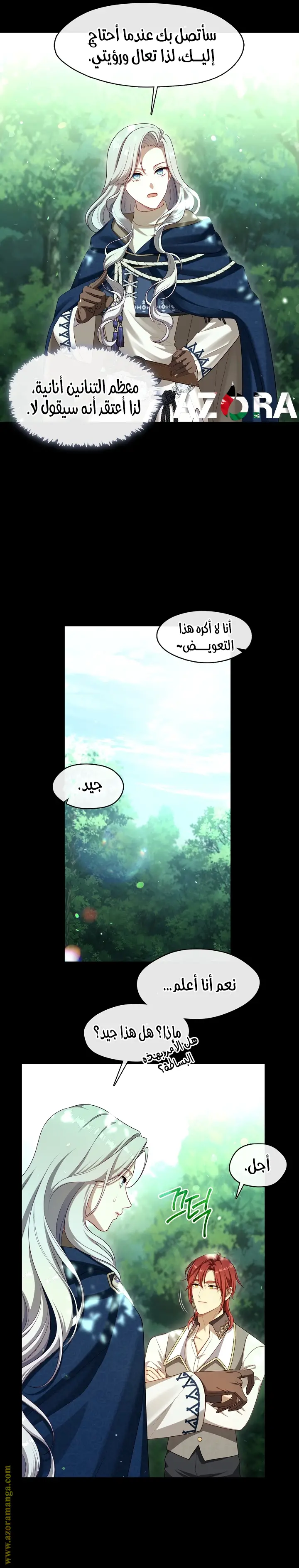 الصفحة 19