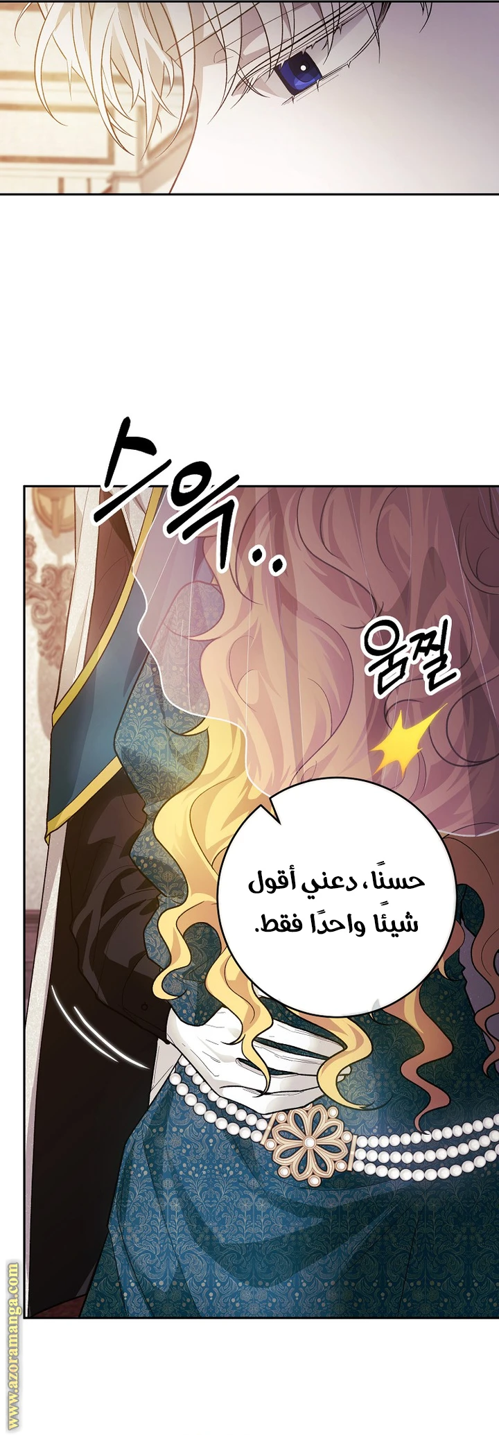 الصفحة 17