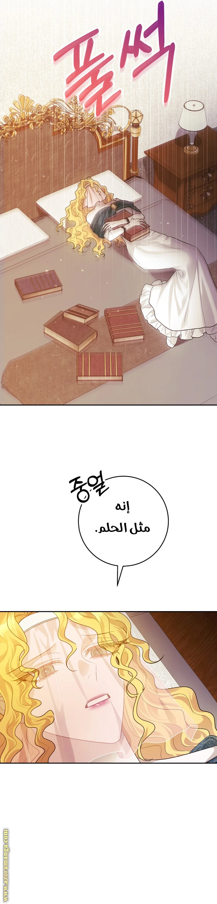 الصفحة 26