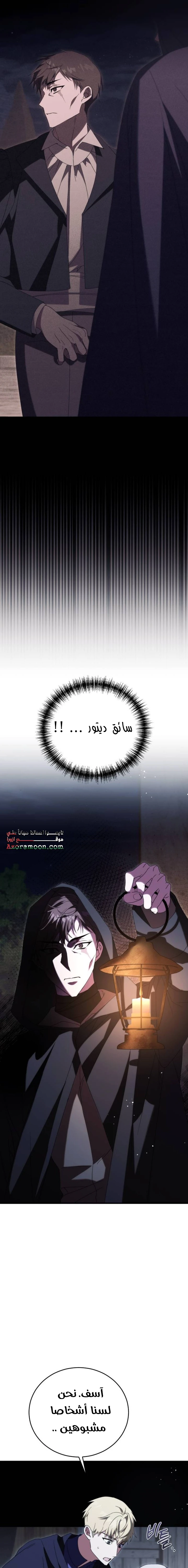 الصفحة 27