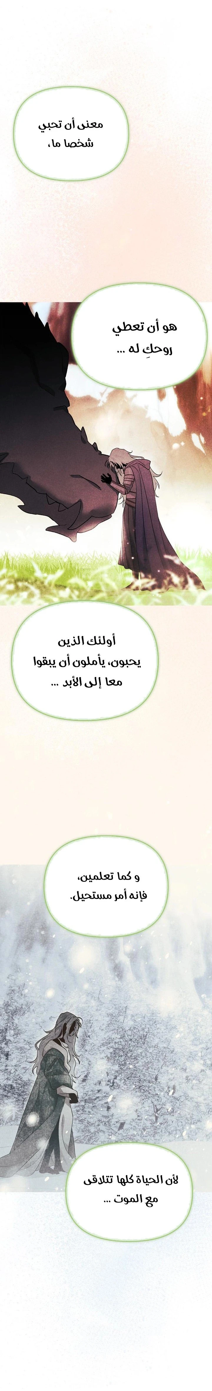 الصفحة 23
