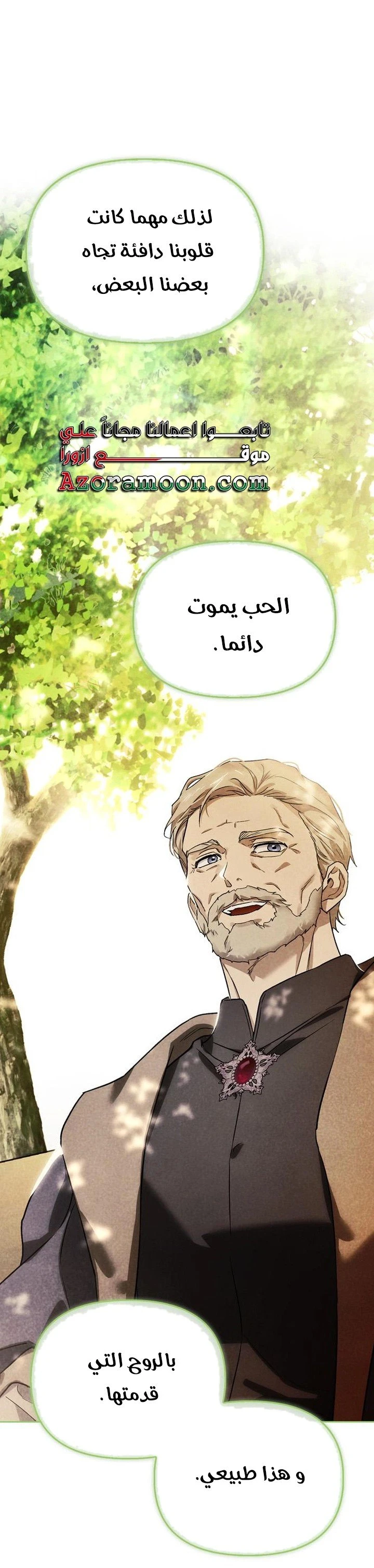 الصفحة 24