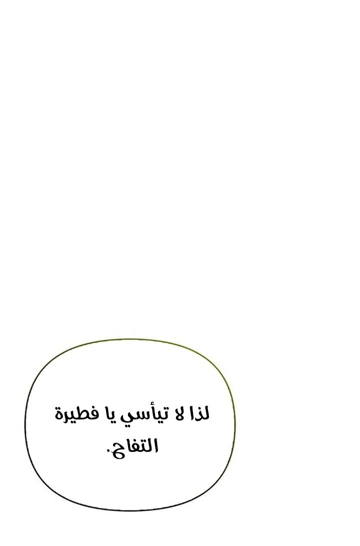 الصفحة 25