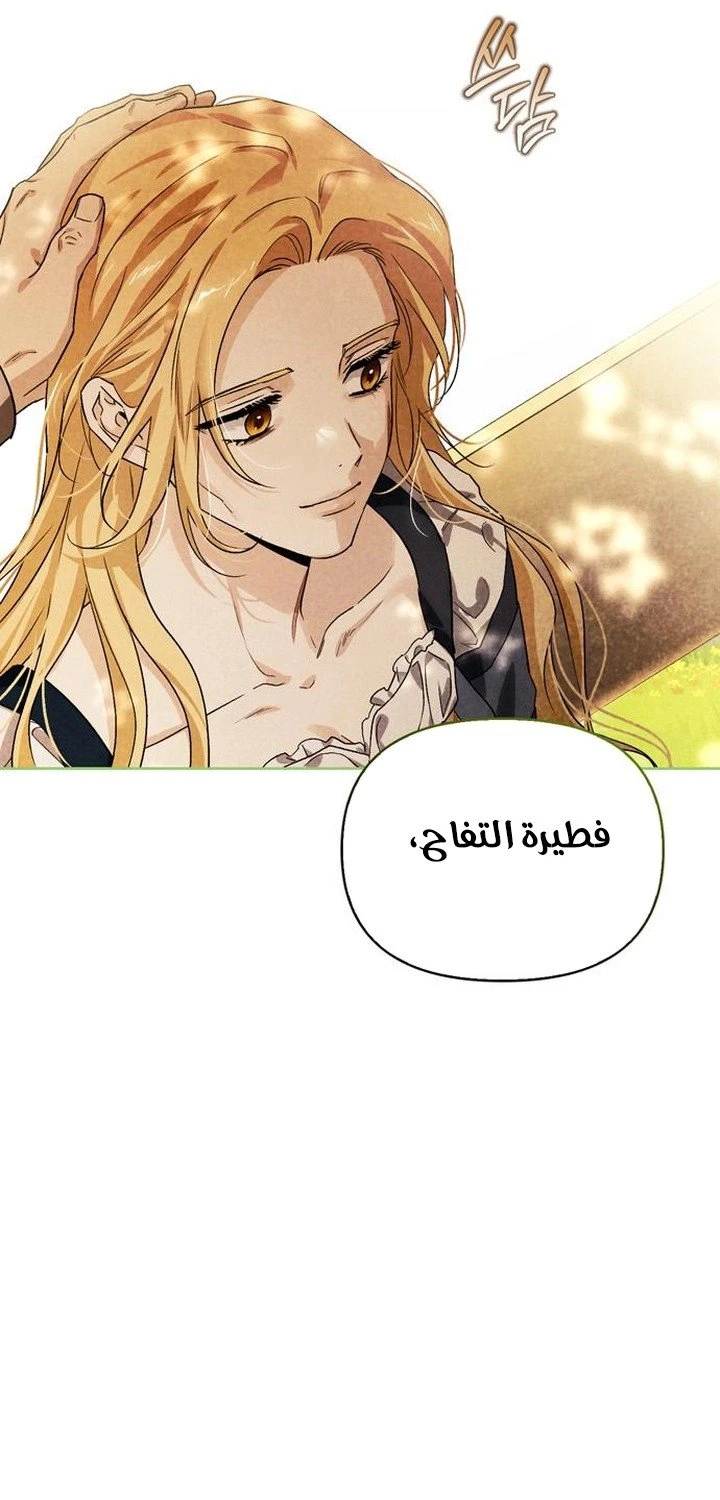 الصفحة 26