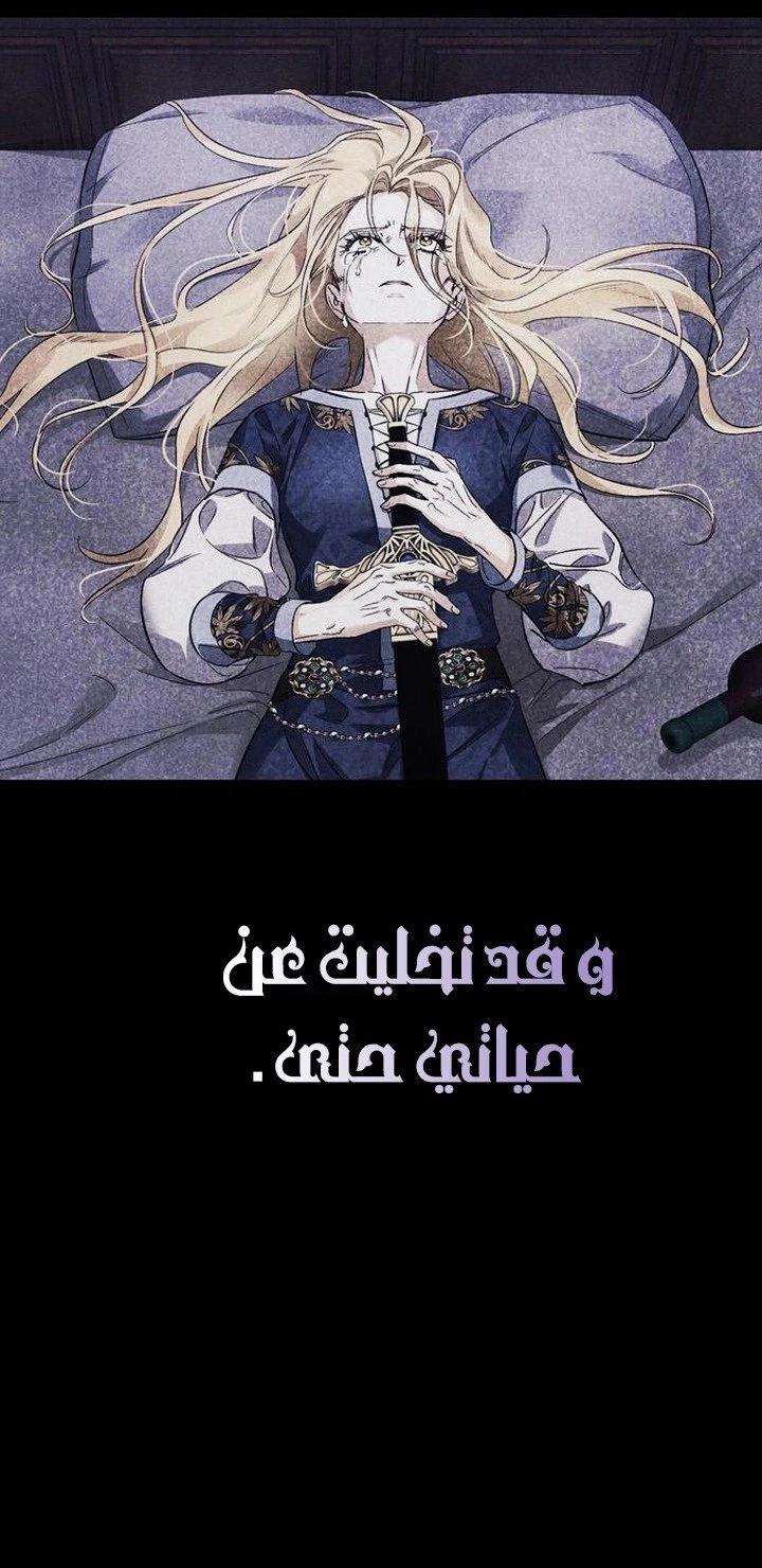 الصفحة 29