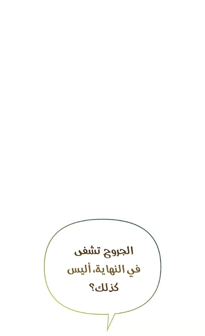 الصفحة 41