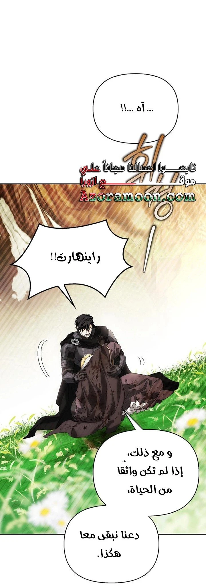 الصفحة 43