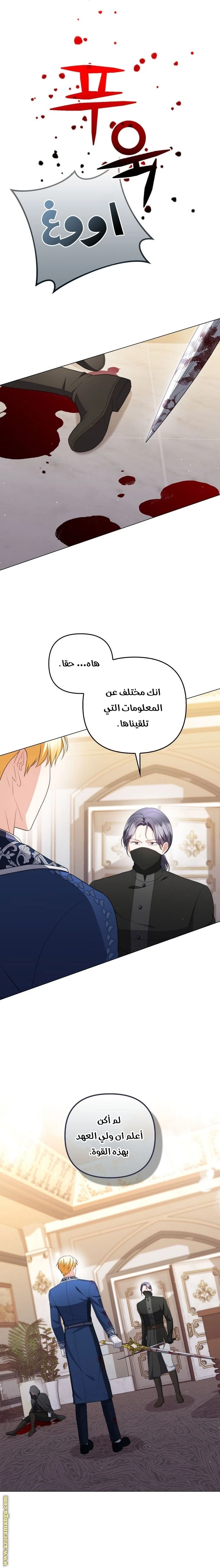 الصفحة 12