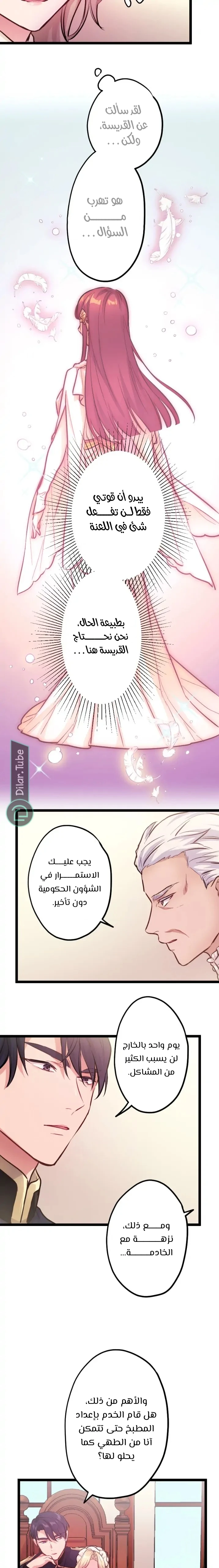 الصفحة 7