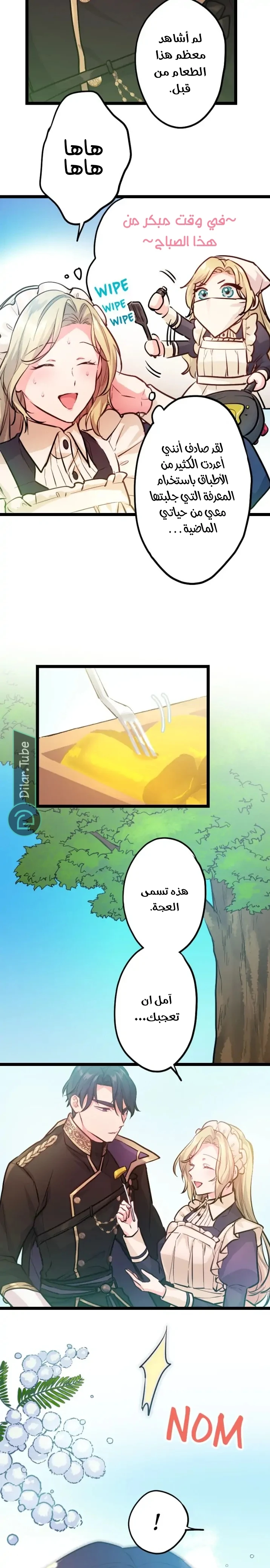 الصفحة 12