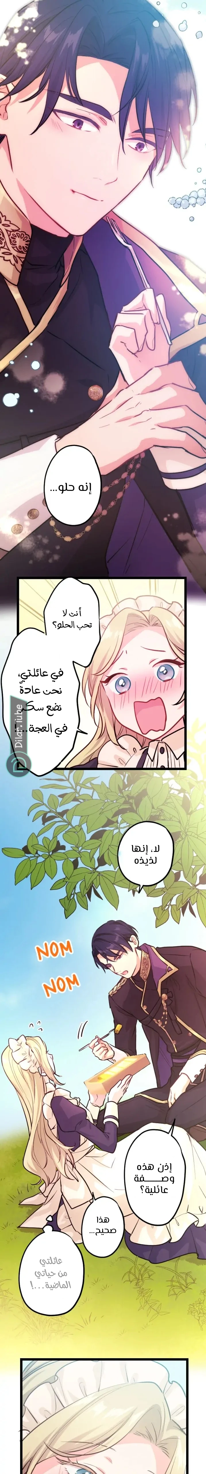 الصفحة 13
