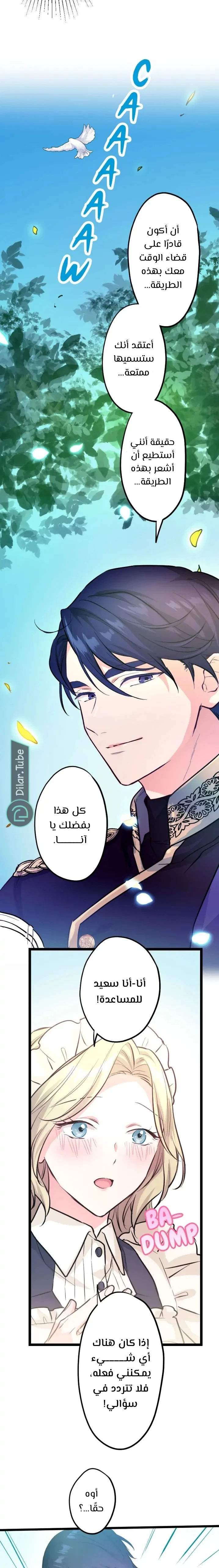 الصفحة 16