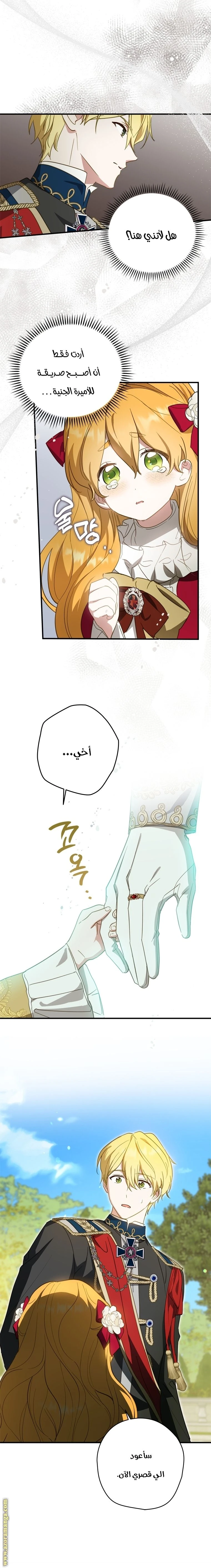 الصفحة 13