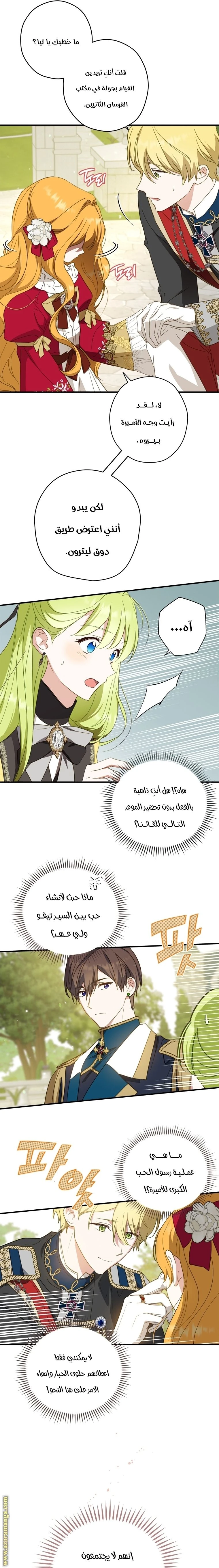 الصفحة 14