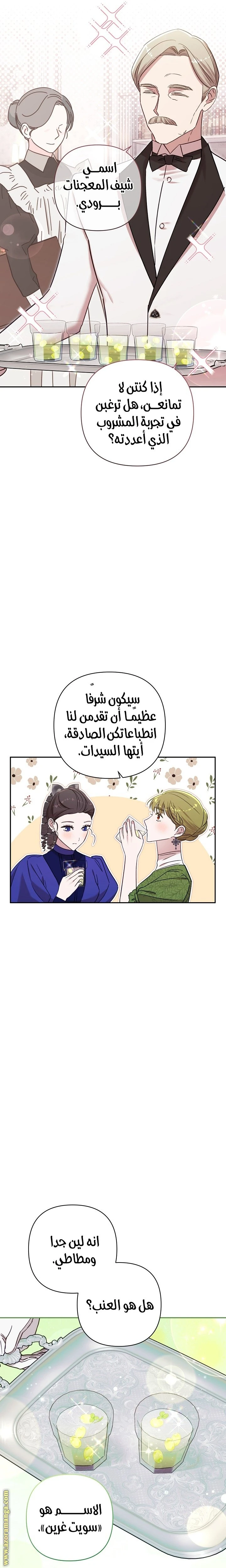 الصفحة 13