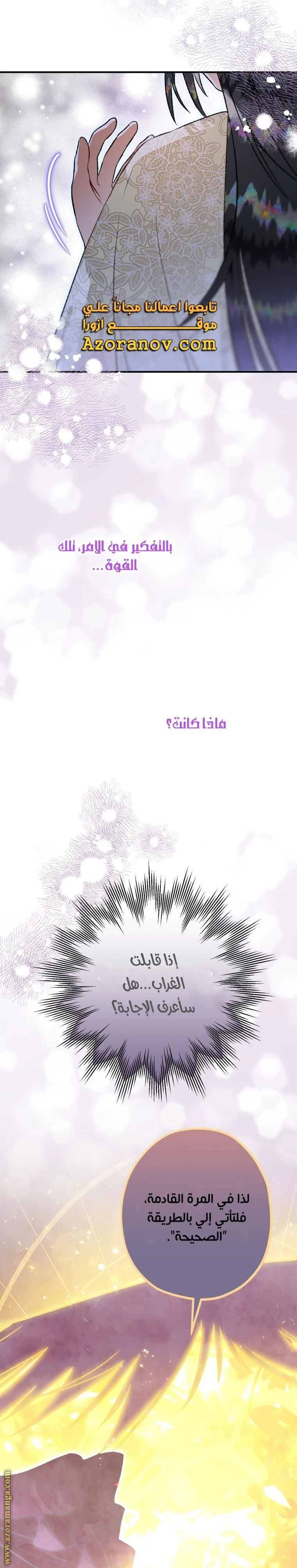 الصفحة 25