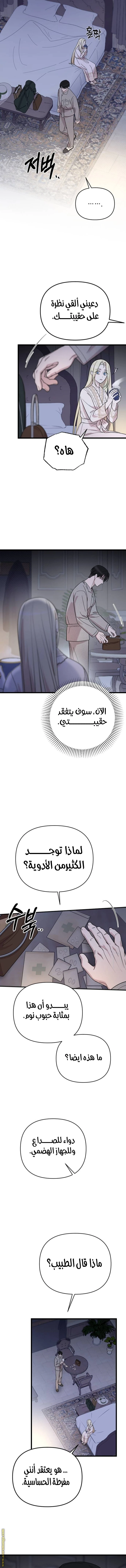 الصفحة 15
