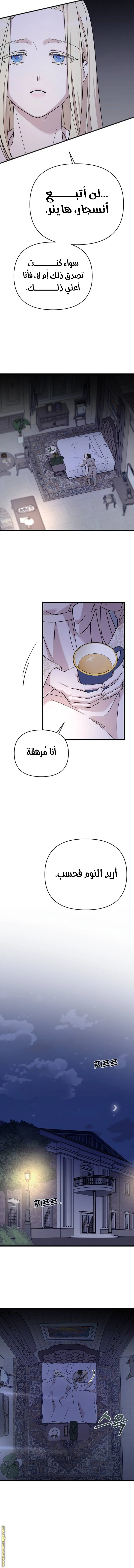 الصفحة 19