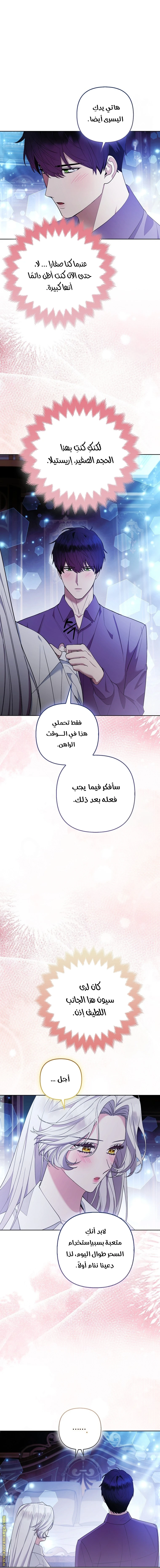 الصفحة 13