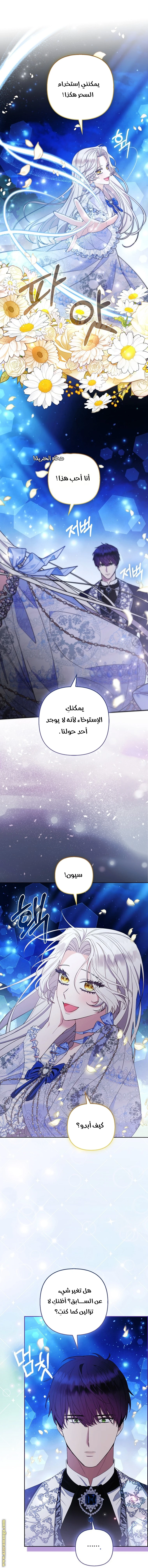 الصفحة 19