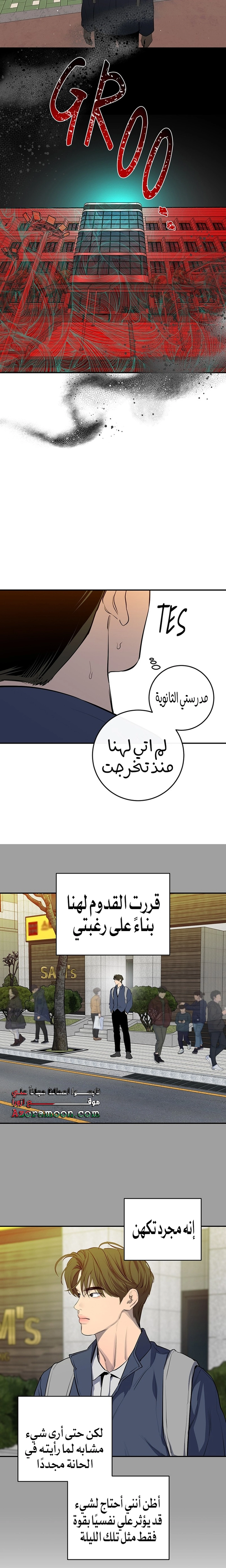 الصفحة 17