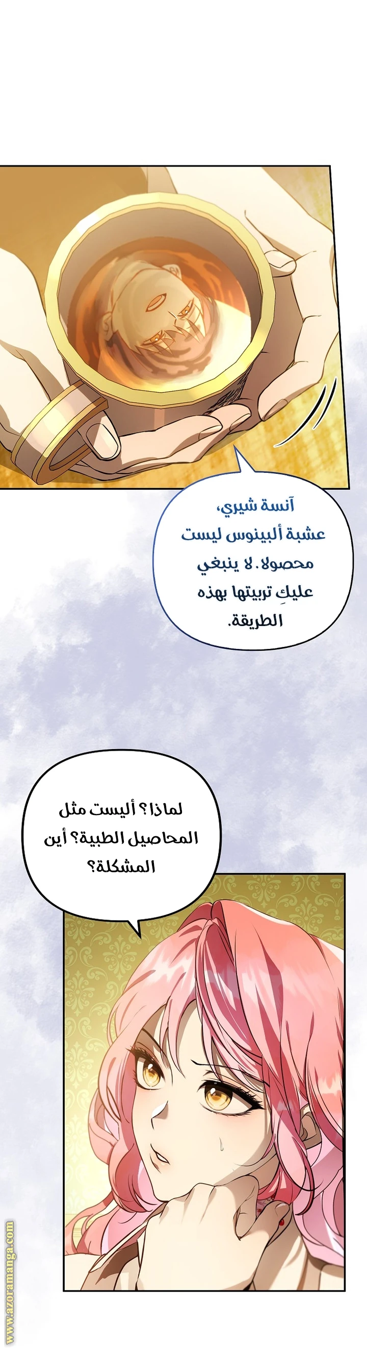الصفحة 13