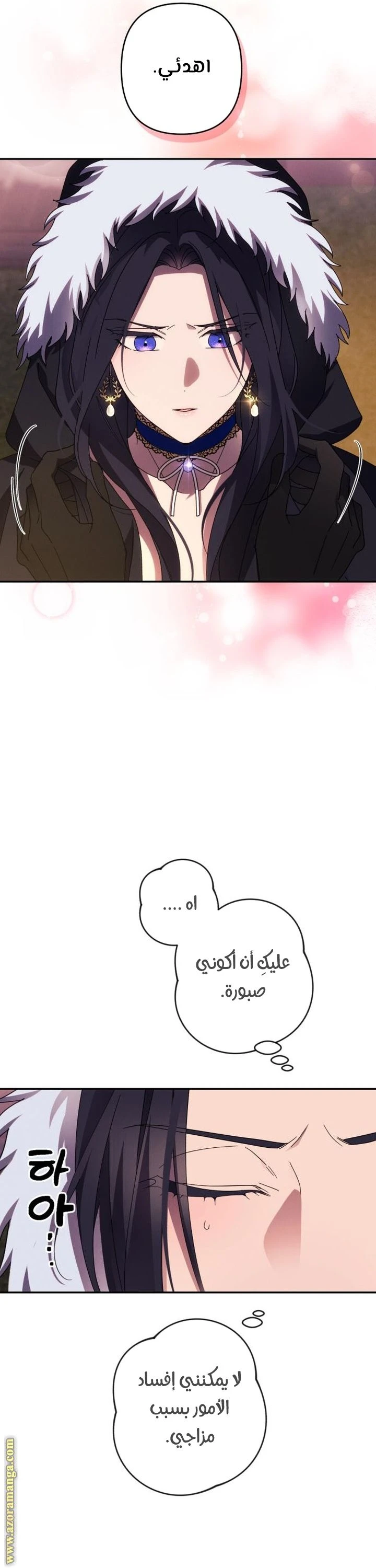 الصفحة 12