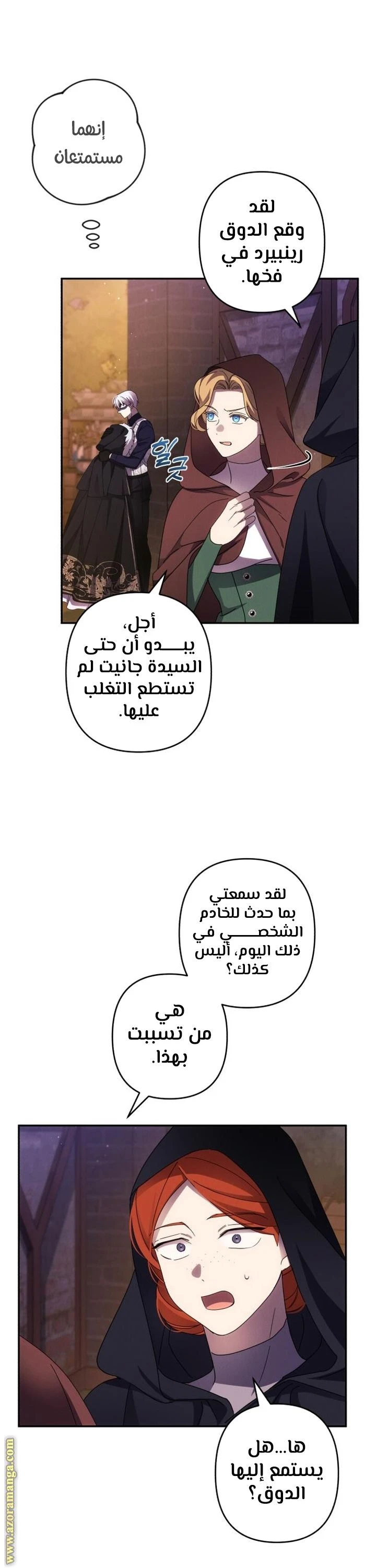 الصفحة 13
