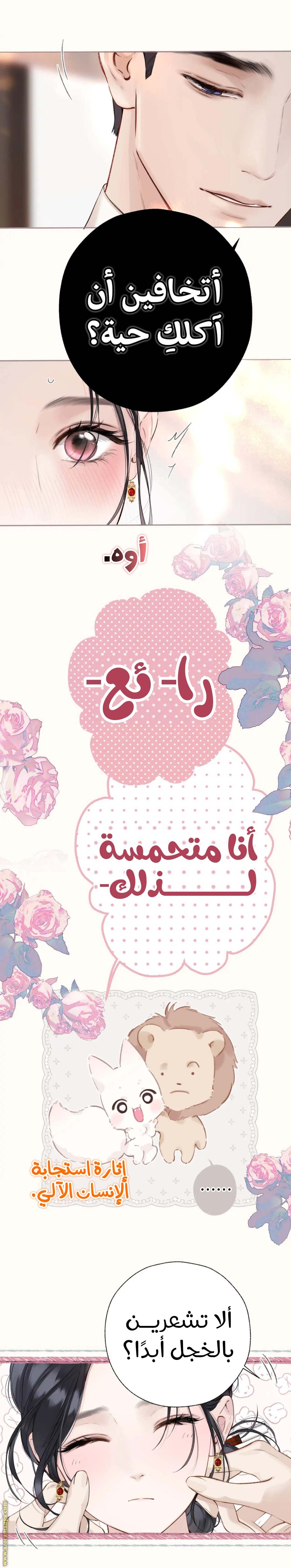 الصفحة 8