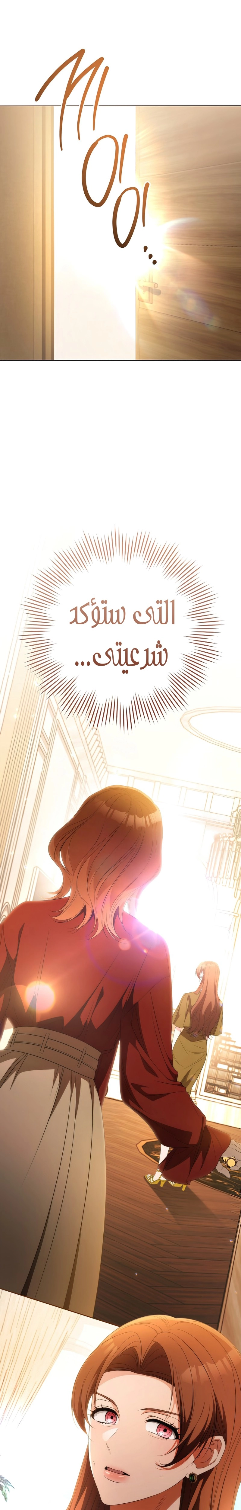 الصفحة 29
