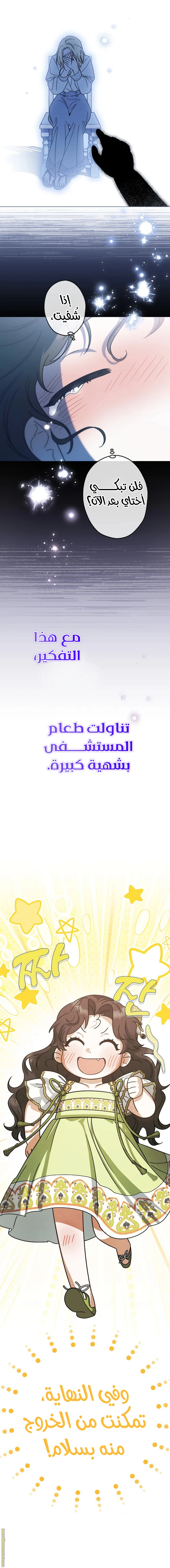 الصفحة 13