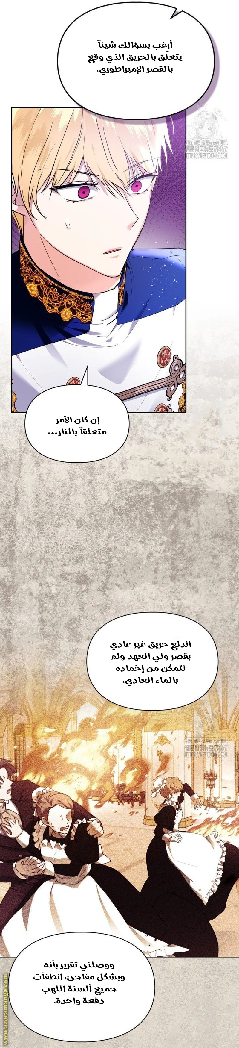 الصفحة 17