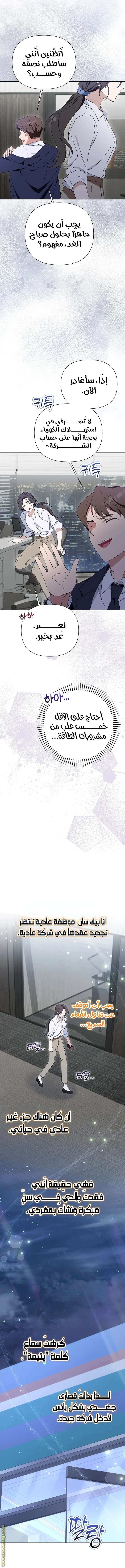 الصفحة 13