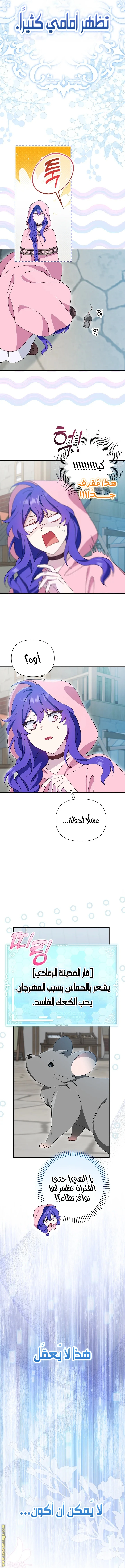 الصفحة 24