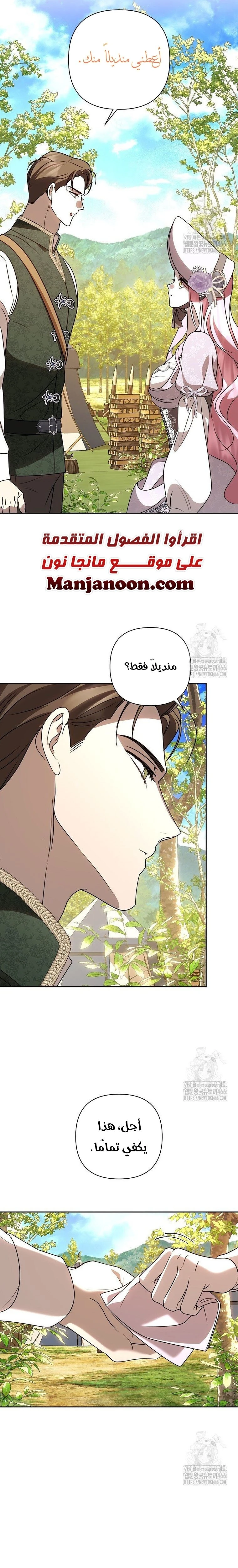 الصفحة 25