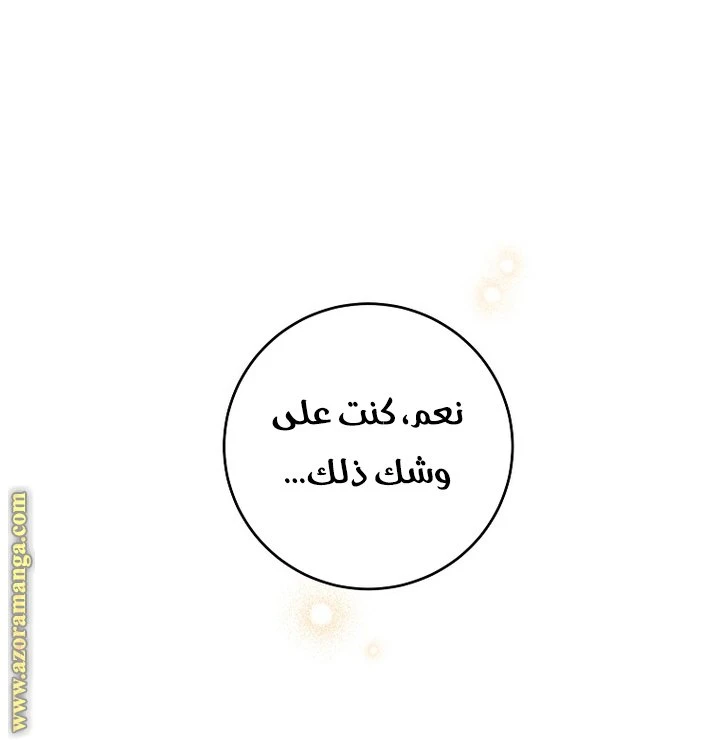 الصفحة 25