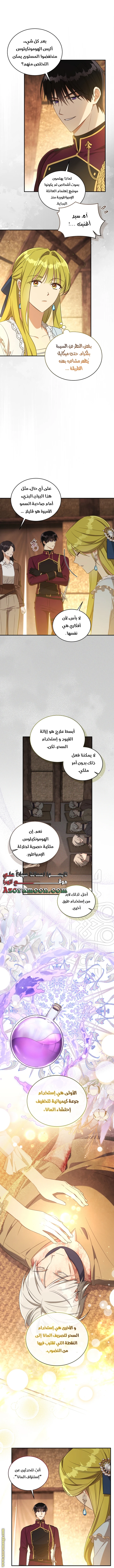 الصفحة 3