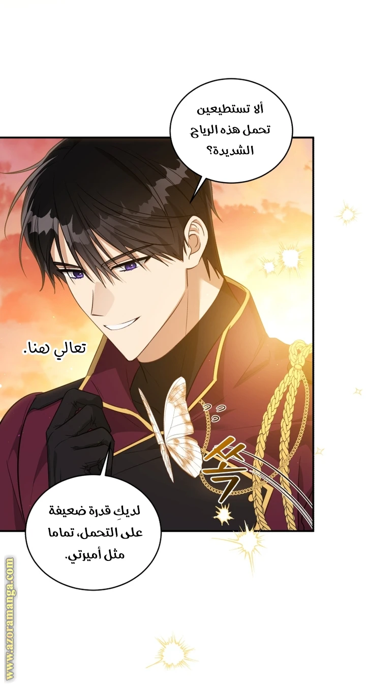 الصفحة 25
